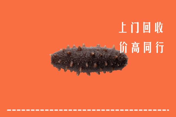 通化回收海参